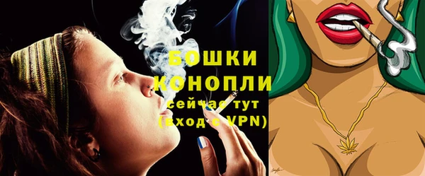 гидра Новокубанск