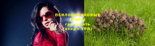 ALPHA-PVP Дмитриев