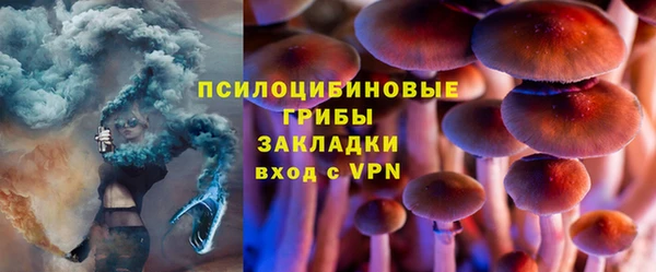прущий лед Дмитровск