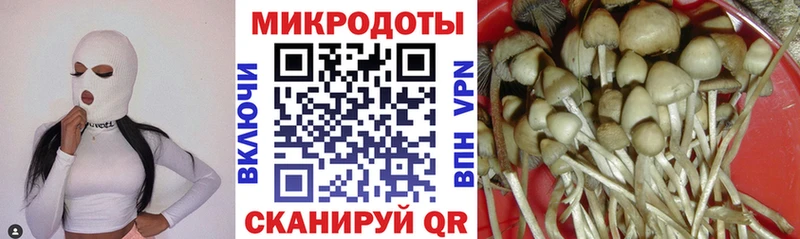Галлюциногенные грибы ЛСД  что такое наркотик  blacksprut зеркало  Печоры 